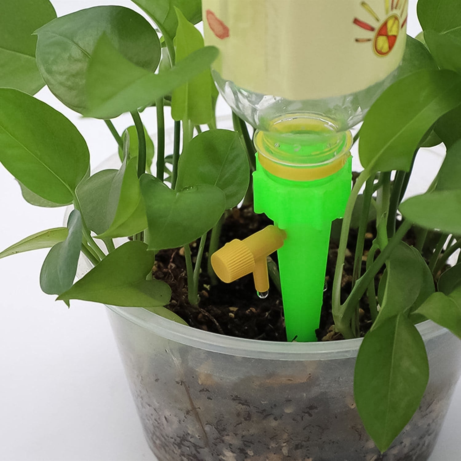 Green Plant Watering Spikes self Watering Spikes (1 Pc) Green Plant Watering Spikes self Watering Spikes (1 Pc)